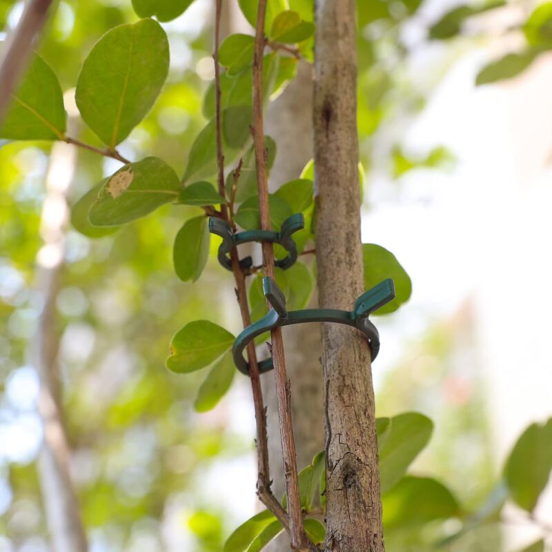 200 Piece Plant Support Clips, Plastic Plant Clips, Climbing Plant Fixing Clips, Garden Clips, For