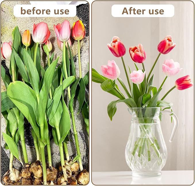 2 Piece Spiral Ikebana Stem Holder, Flower Arrangement Holder Ring Reusable Floral Bouquet Twister Round Flow – Ref 004