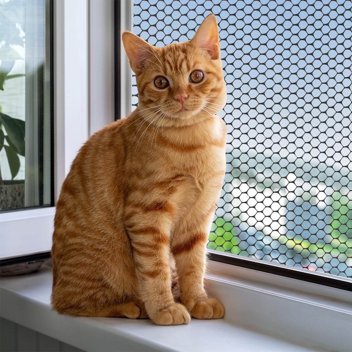 Plastic Fencing Net – 40 cm * 3 m – Chicken Wire – Cat Net – Dog Fencing – Bird Net – Pet Trap Net – Garden Mesh