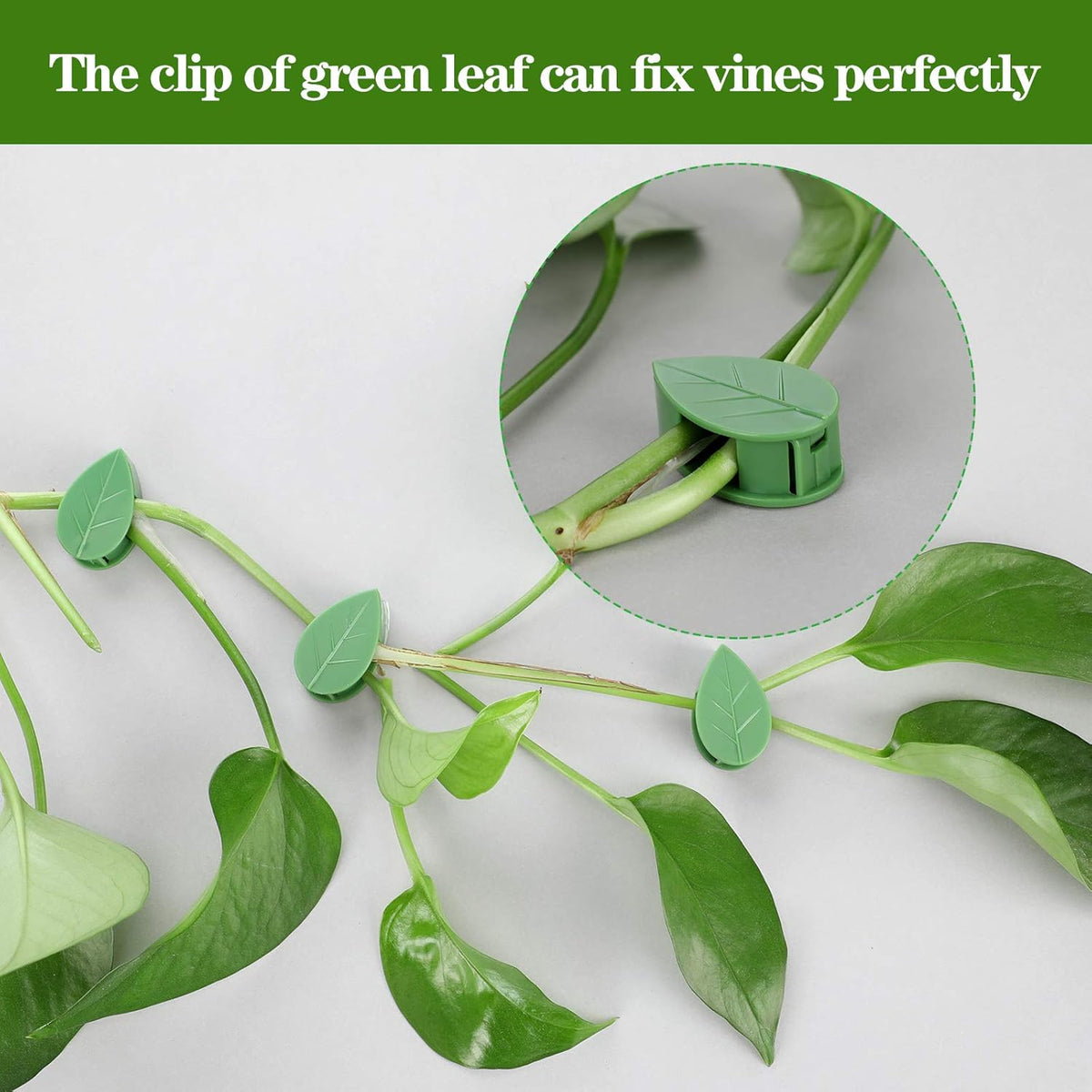 60 Pieces Plant Climbing Wall Fixture Clips with 72 Pieces Acrylic Adhesive Sticker Leaf Fixer Invisible Wall Vines