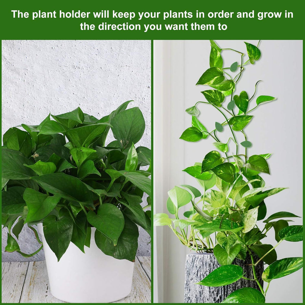 60 Pieces Plant Climbing Wall Fixture Clips with 72 Pieces Acrylic Adhesive Sticker Leaf Fixer Invisible Wall Vines