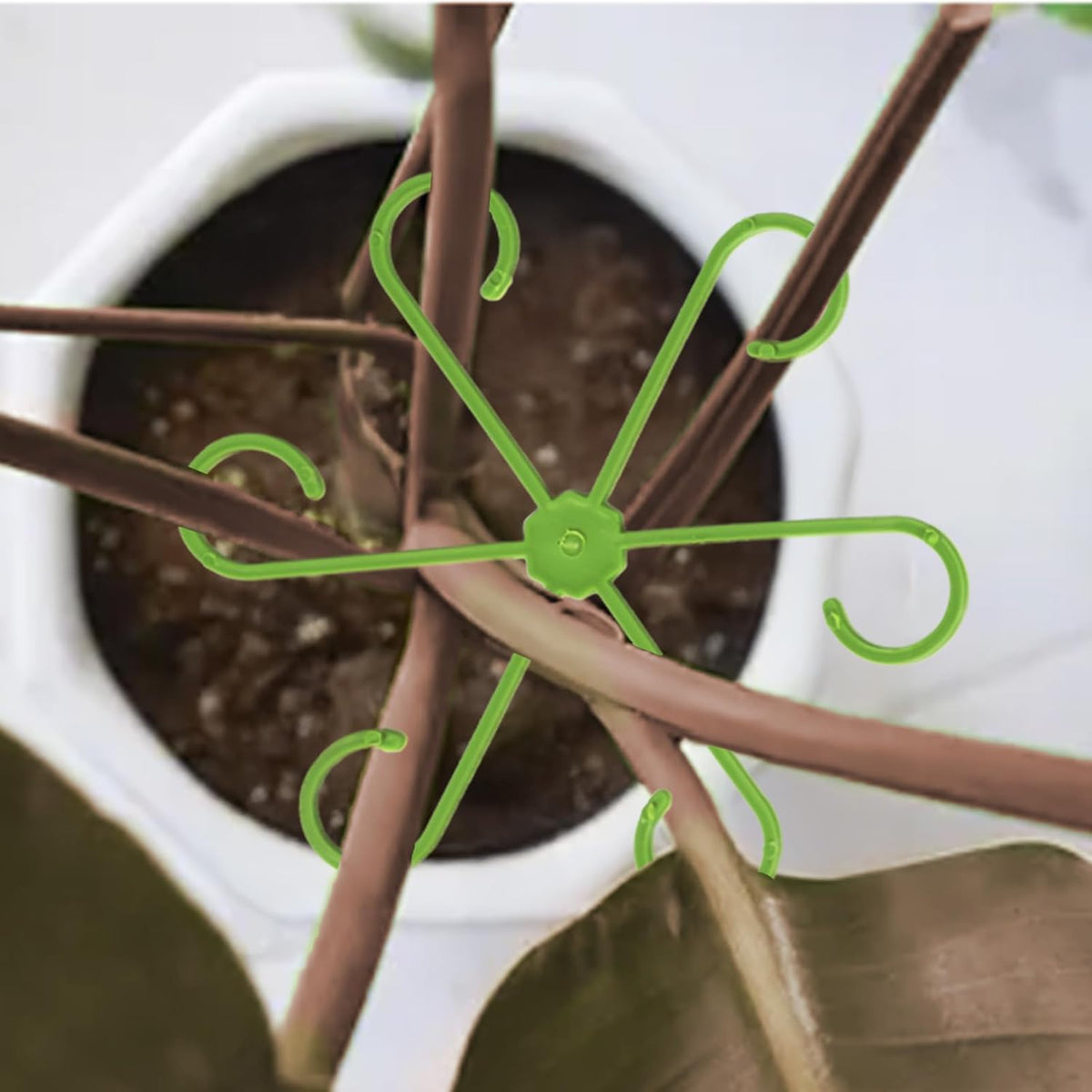 16 Pack Indoor Plant Stakes 4 Sizes 4 of Each Size Green Plant Supports for Tall Plants Monstera Plant Anchors Plant