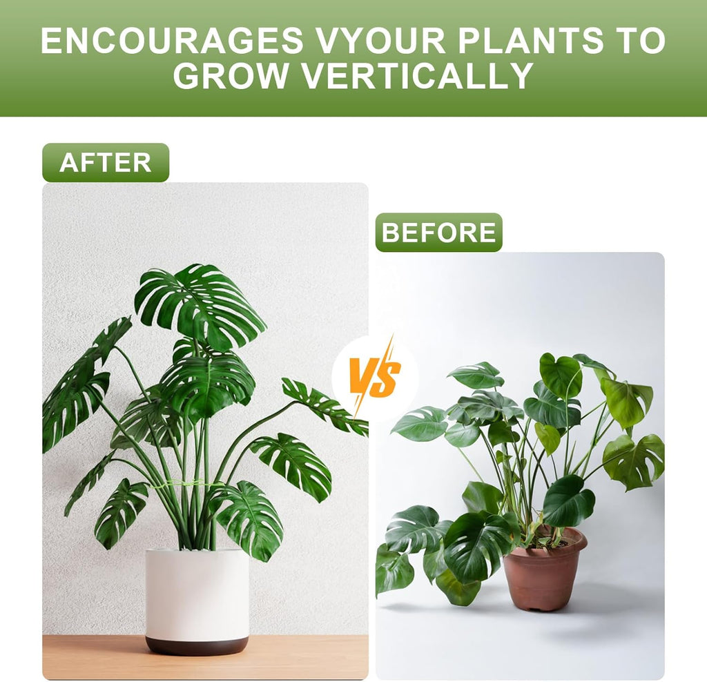 16 Pack Indoor Plant Stakes 4 Sizes 4 of Each Size Green Plant Supports for Tall Plants Monstera Plant Anchors Plant