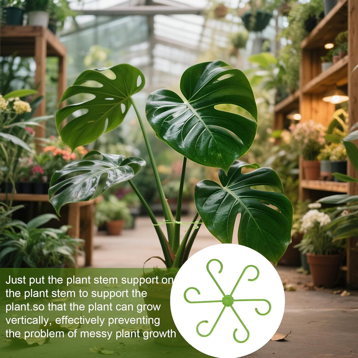 16 Pack Indoor Plant Stakes 4 Sizes 4 of Each Size Green Plant Supports for Tall Plants Monstera Plant Anchors Plant
