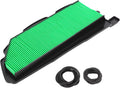 Honda Pioneer 1000 / 1000-5 Air Filter – 2016–2021 – 17215-HL4-A02