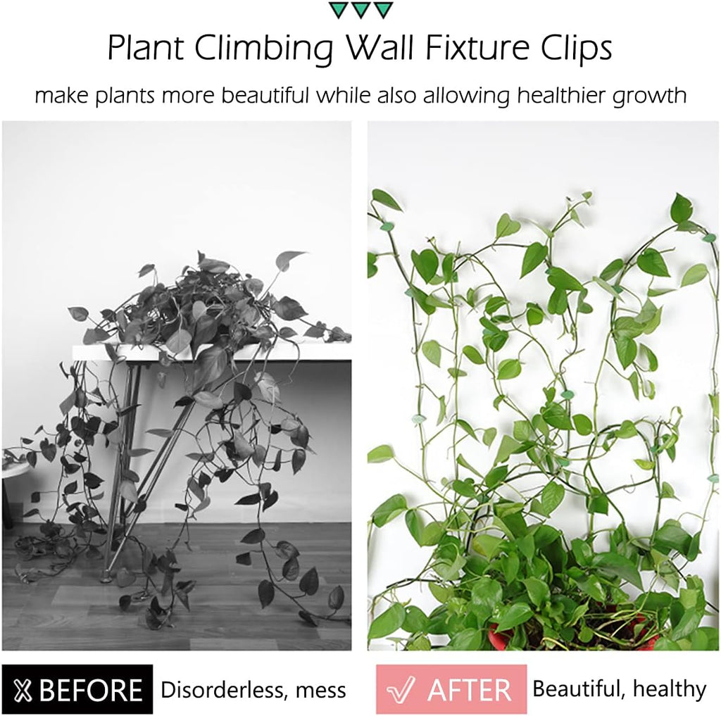 100 Piece Plant Climbing Wall Fixture Clips Self-Adhesive Hook Vines Traction Clips Invisible Holder Garden Green