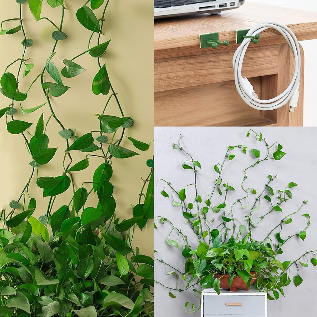 100 Piece Plant Climbing Wall Fixture Clips Self-Adhesive Hook Vines Traction Clips Invisible Holder Garden Green