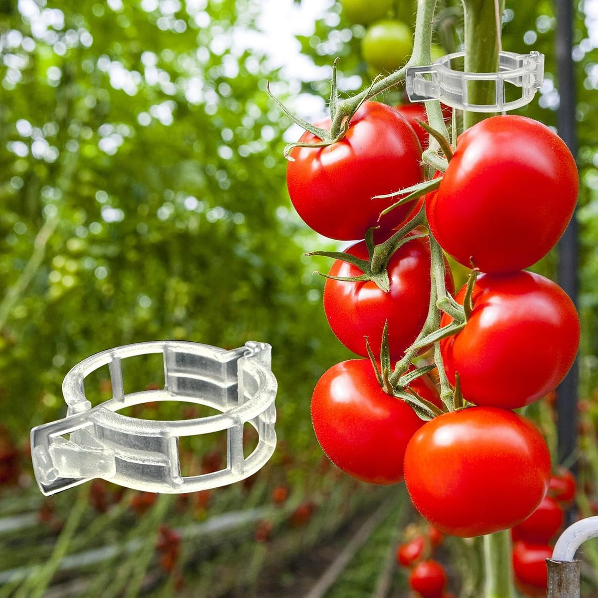 Plastic Plant Clips Essential Garden Tools, Plant Support Clips Tomato Grape Vine Vegetables Plant Fixing Clips