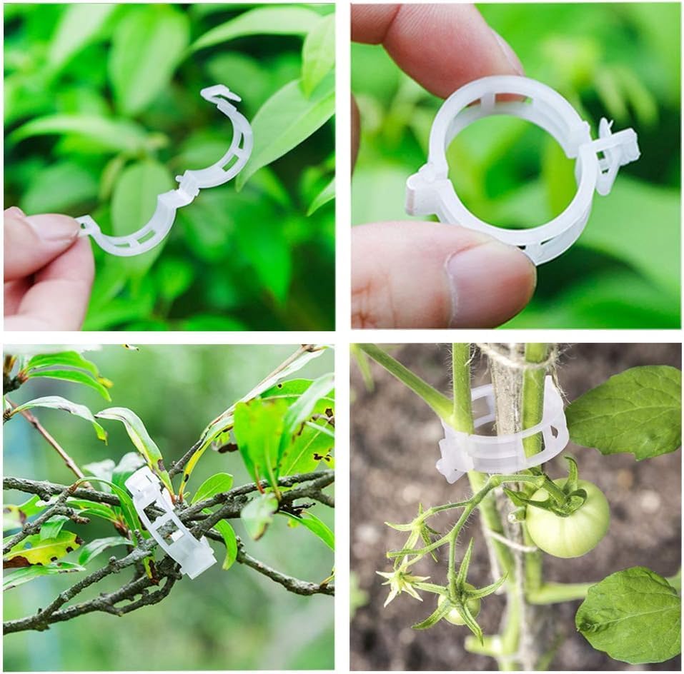 Plastic Plant Clips Essential Garden Tools, Plant Support Clips Tomato Grape Vine Vegetables Plant Fixing Clips
