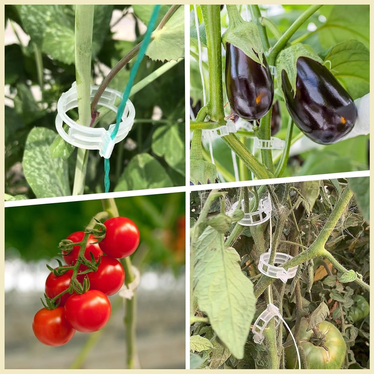 Plastic Plant Clips Essential Garden Tools, Plant Support Clips Tomato Grape Vine Vegetables Plant Fixing Clips