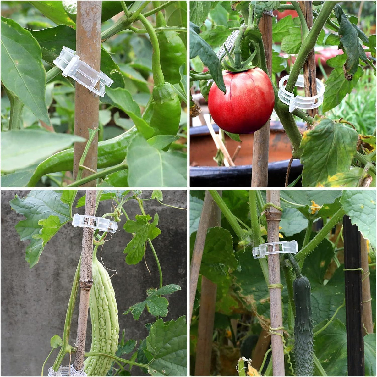 Plastic Plant Clips Essential Garden Tools, Plant Support Clips Tomato Grape Vine Vegetables Plant Fixing Clips