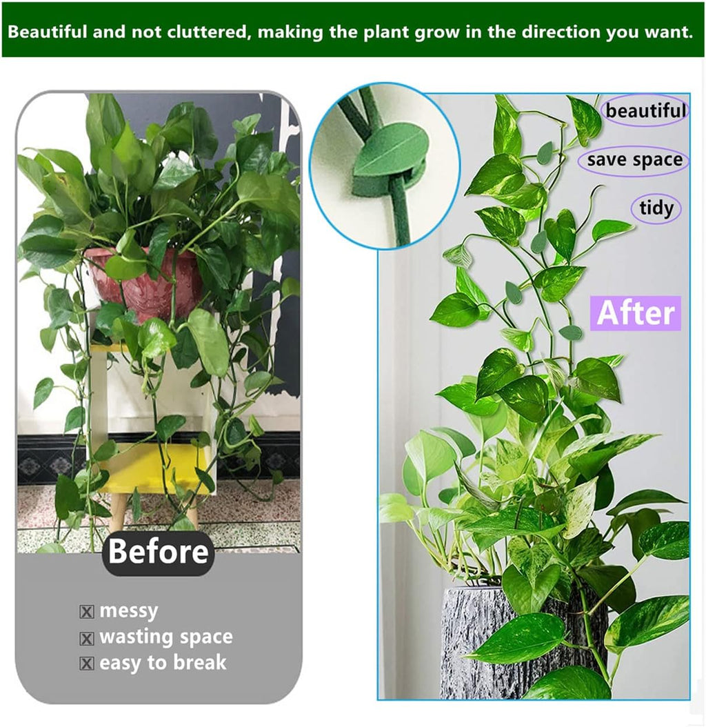 60 Piece Plant Climbing Wall Fixture Clips Acrylic Self-Adhesive Sticker Fixer Vine Traction Invisible Holder Green