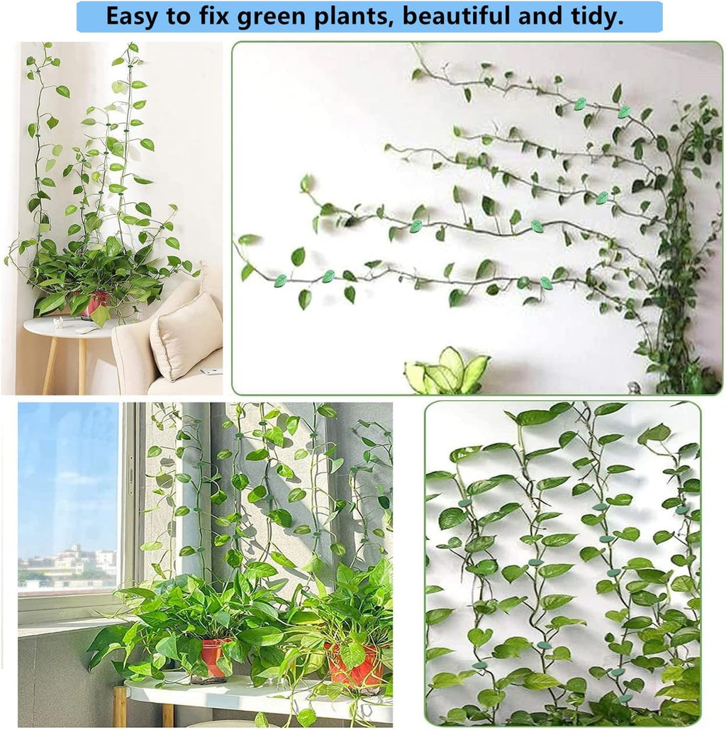 60 Piece Plant Climbing Wall Fixture Clips Acrylic Self-Adhesive Sticker Fixer Vine Traction Invisible Holder Green