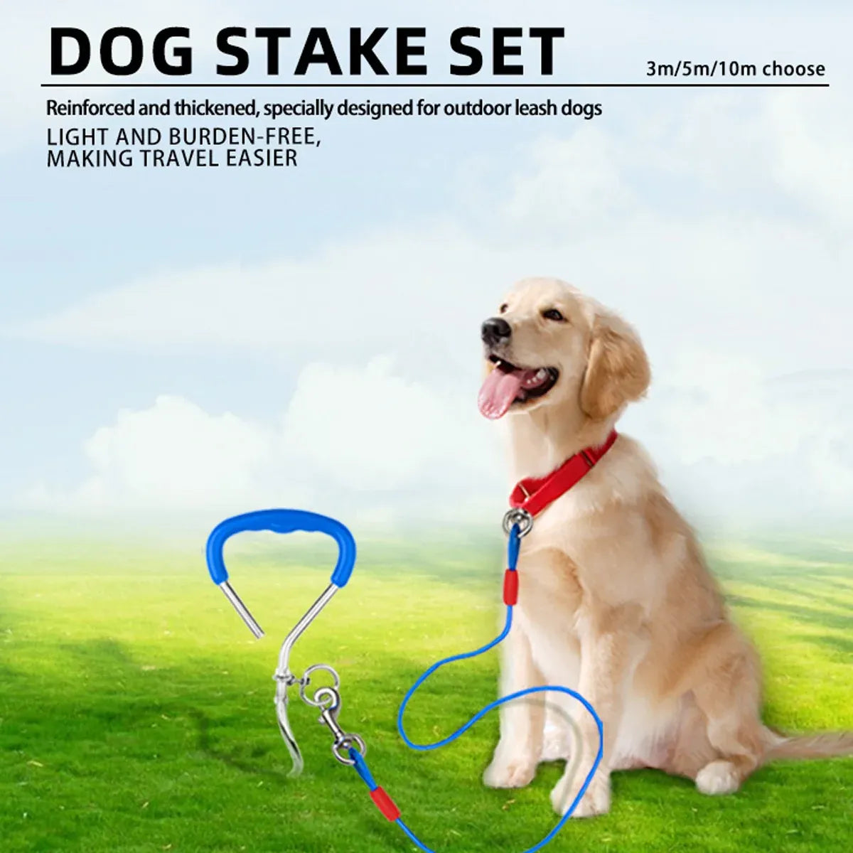Dog Stake Suit Dog Leash Small Medium Dog Outdoor Walking Pet Fixed Stake Bolt