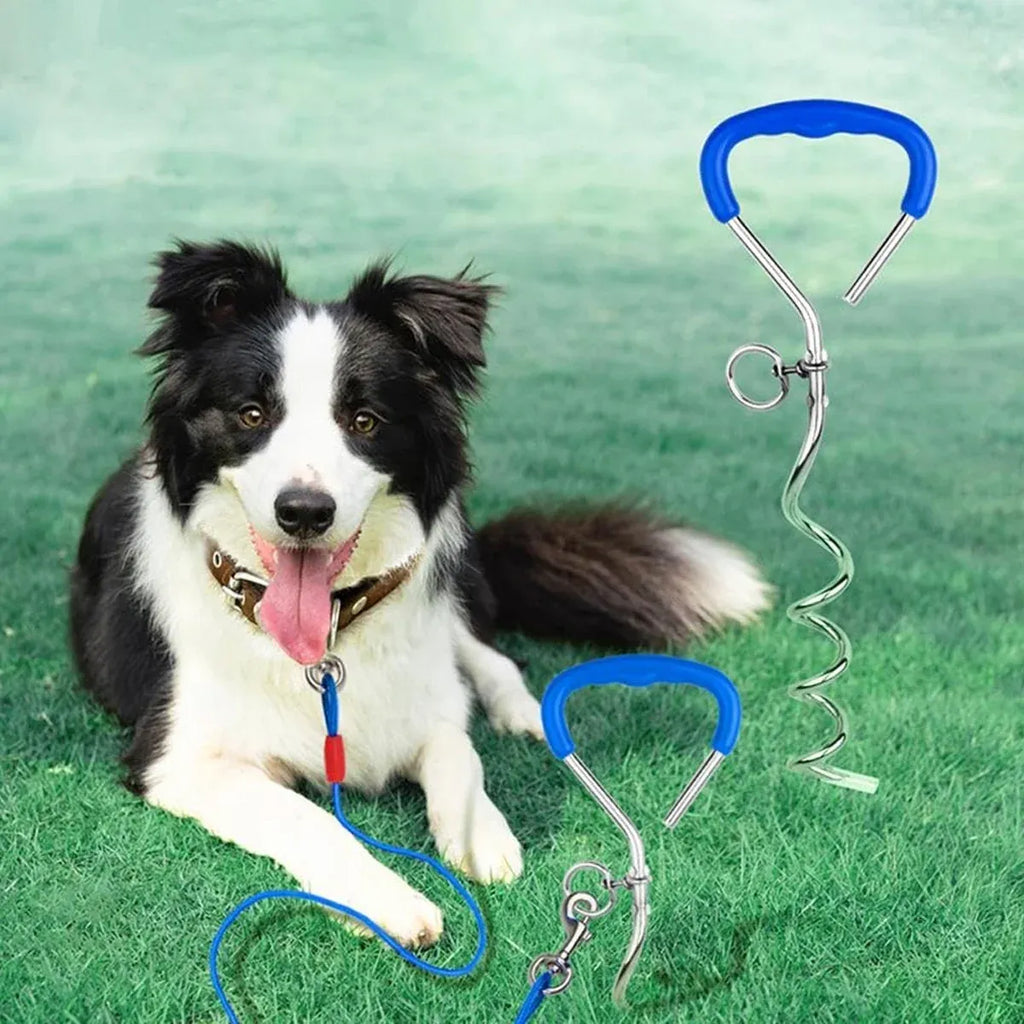 Dog Stake Suit Dog Leash Small Medium Dog Outdoor Walking Pet Fixed Stake Bolt
