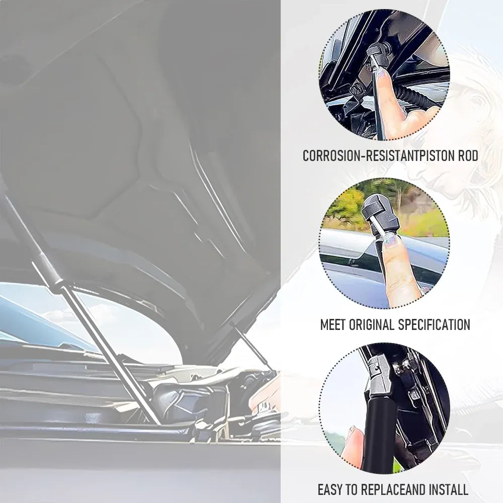 6 Piece Premium Gas Struts Kit for Ford Territory SX SY 2004-2011 Bonnet Tailgate Window Glass Direct Replacement